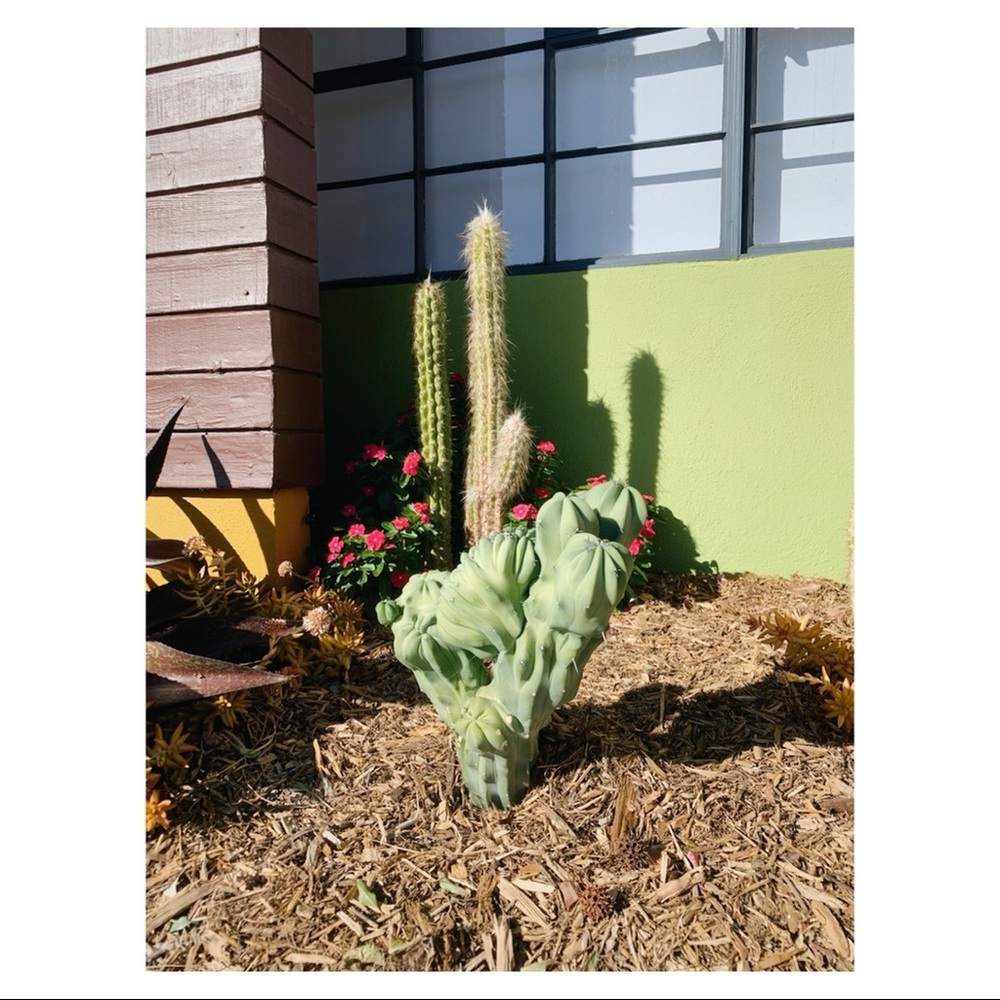 ~ hello ~ - Picture 1 of 5